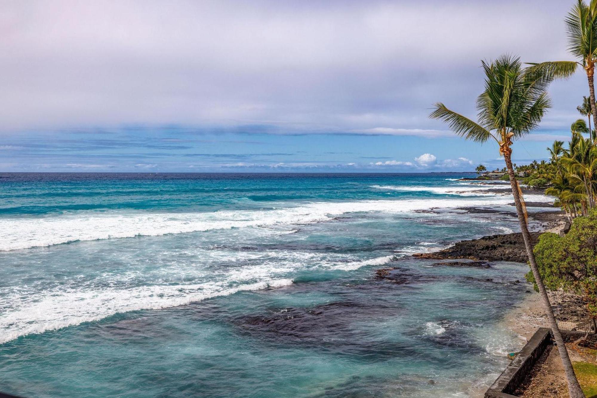 Banyan Tree 404D Villa Kailua-Kona Buitenkant foto